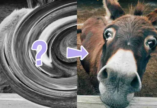 Screenshot of the Image Guess picture reveal game mode